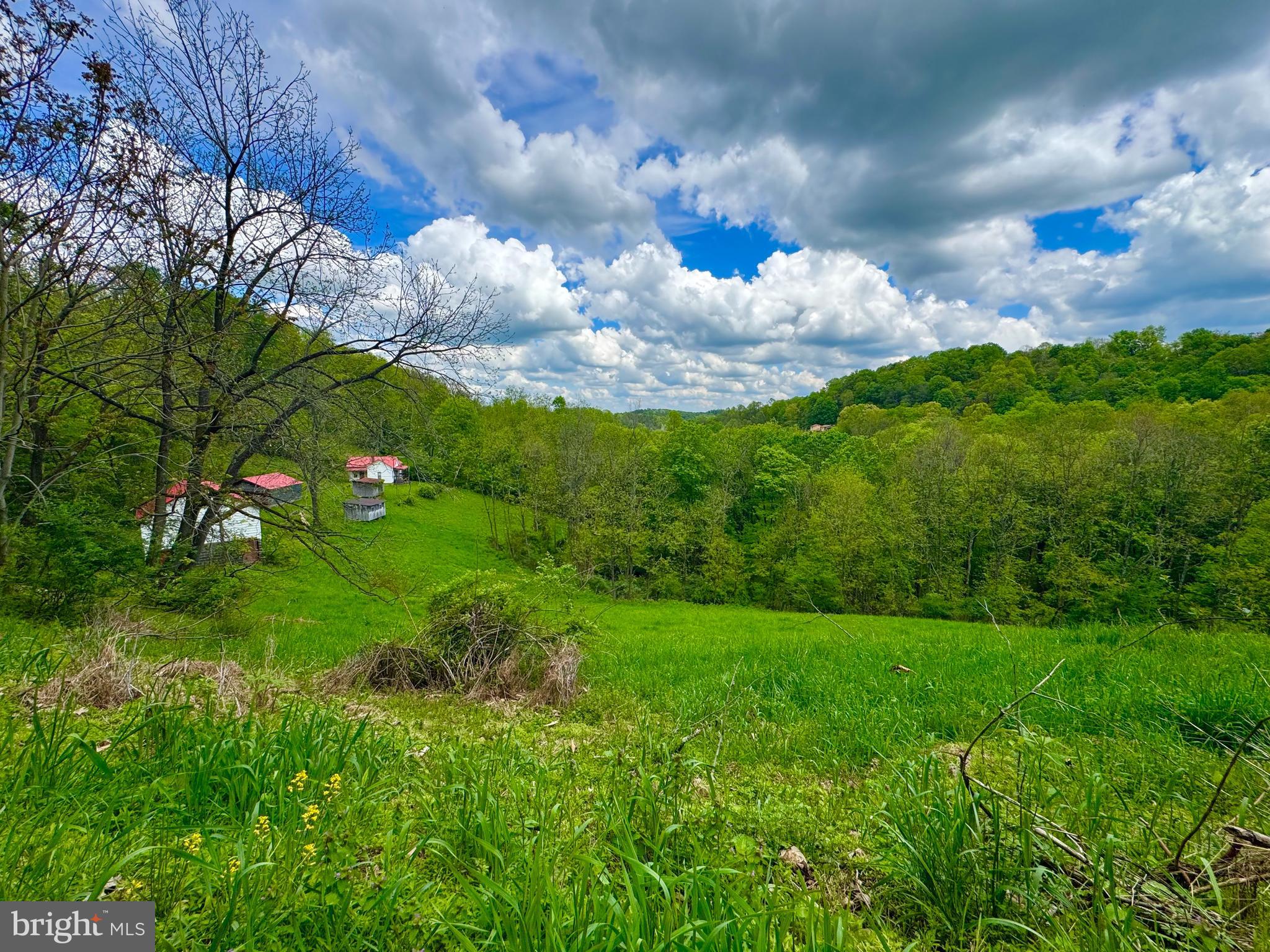 NONE AVAILABLE - Farm