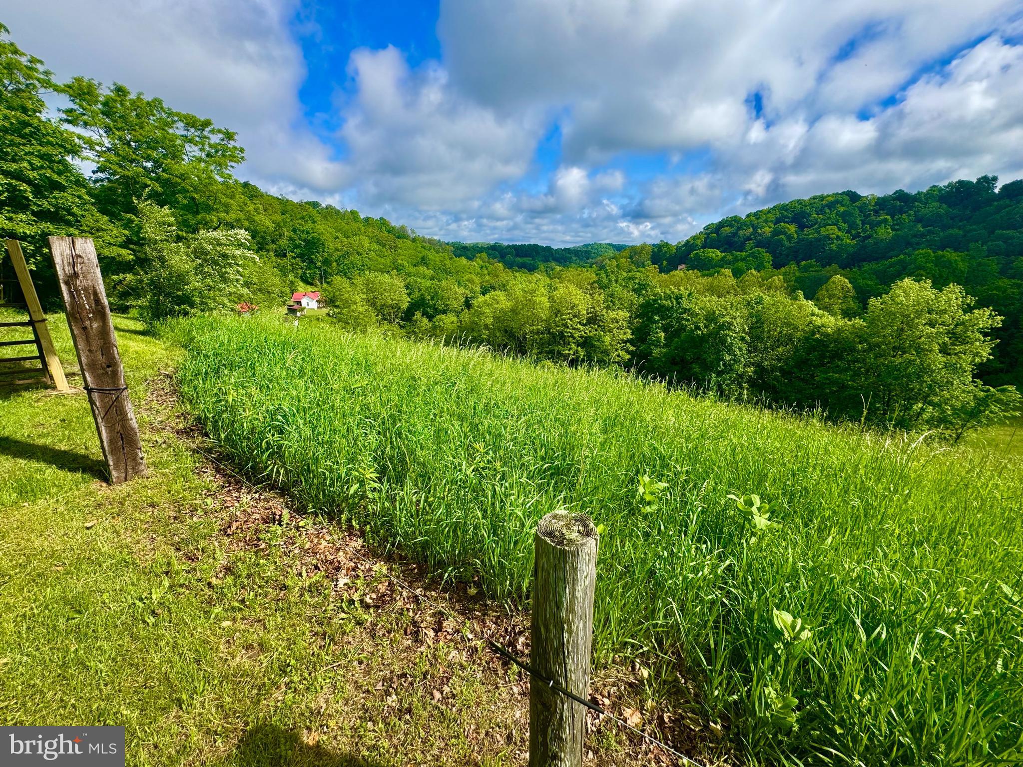 14451 PROCTOR CREEK ROAD