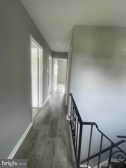 COUNTY DOWNE - Residential Lease