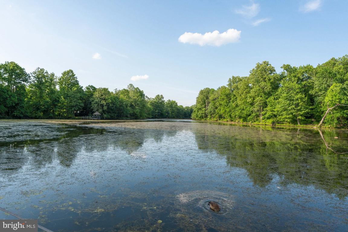 LARGO TOWN CENTER CONDOMINIUMS - Residential