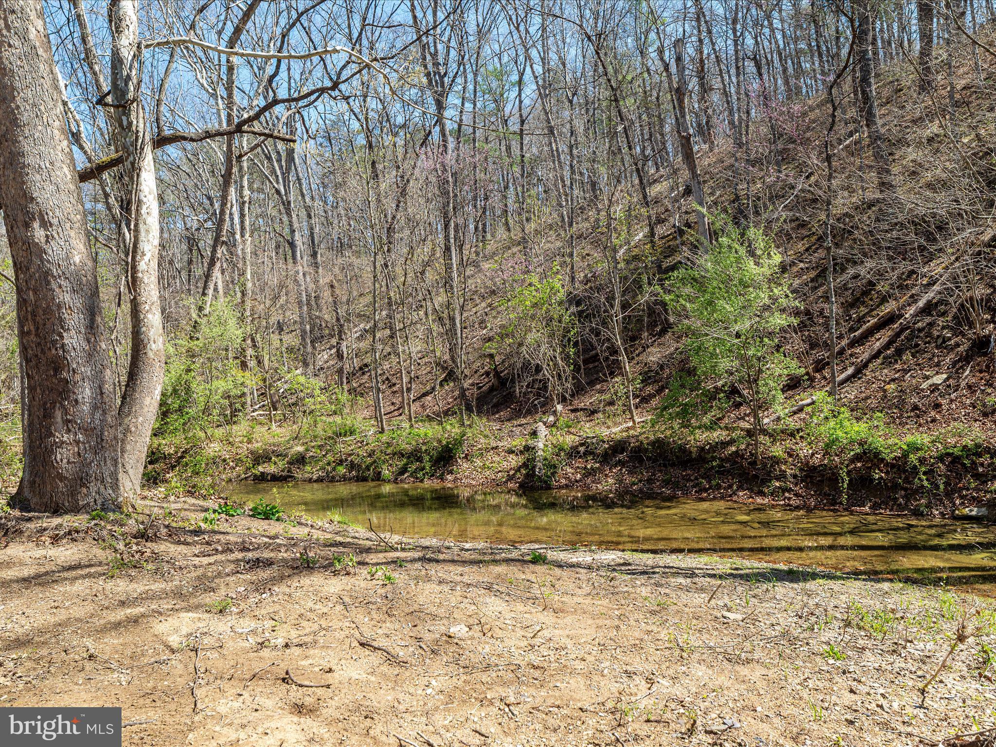 WOODLAND SPRINGS - Residential