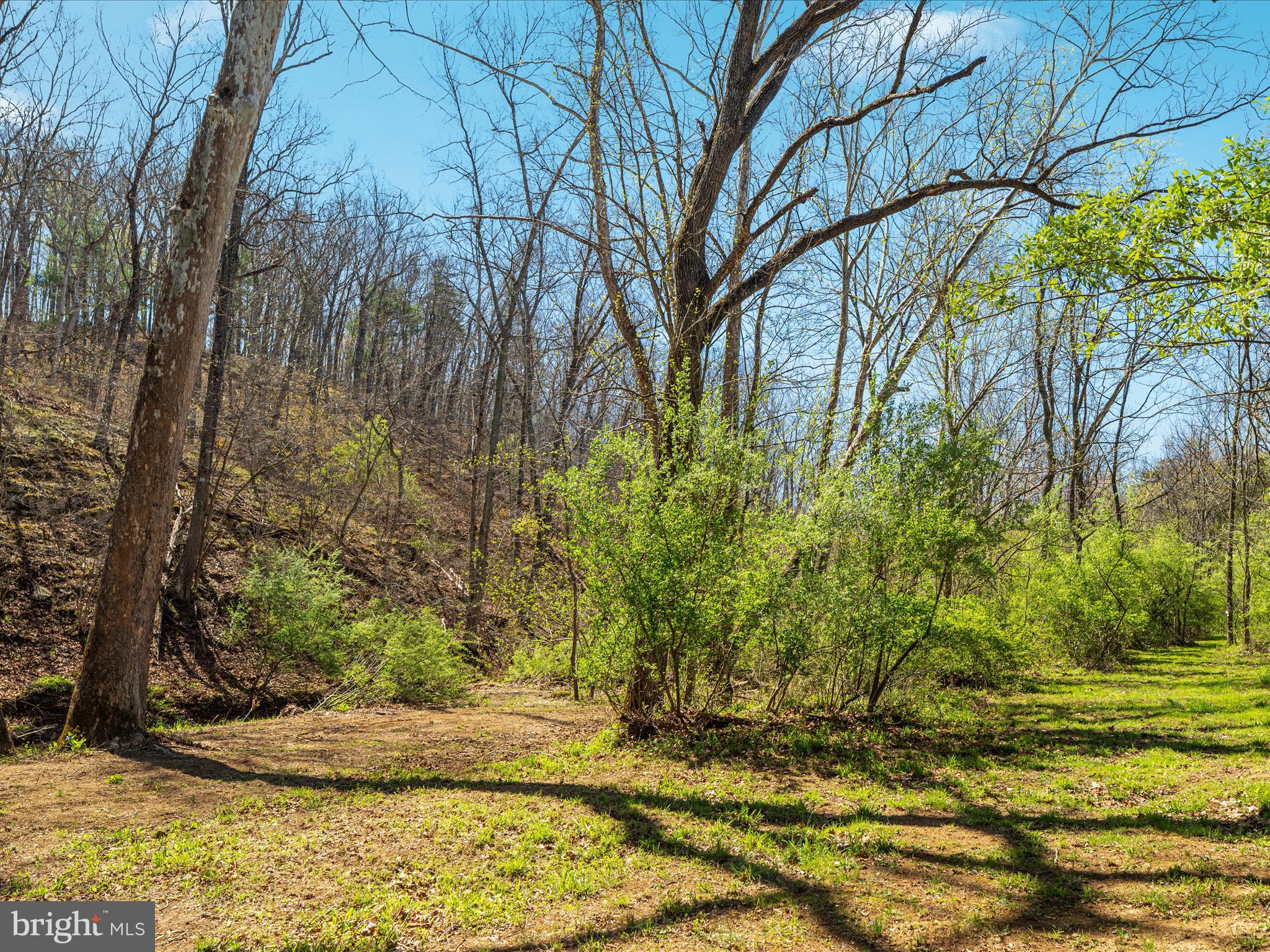 WOODLAND SPRINGS - Residential