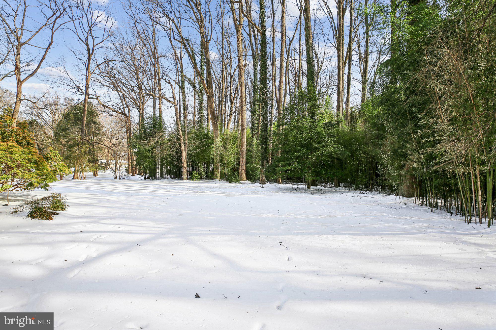 WILLIAMSBURG GARDENS - Residential