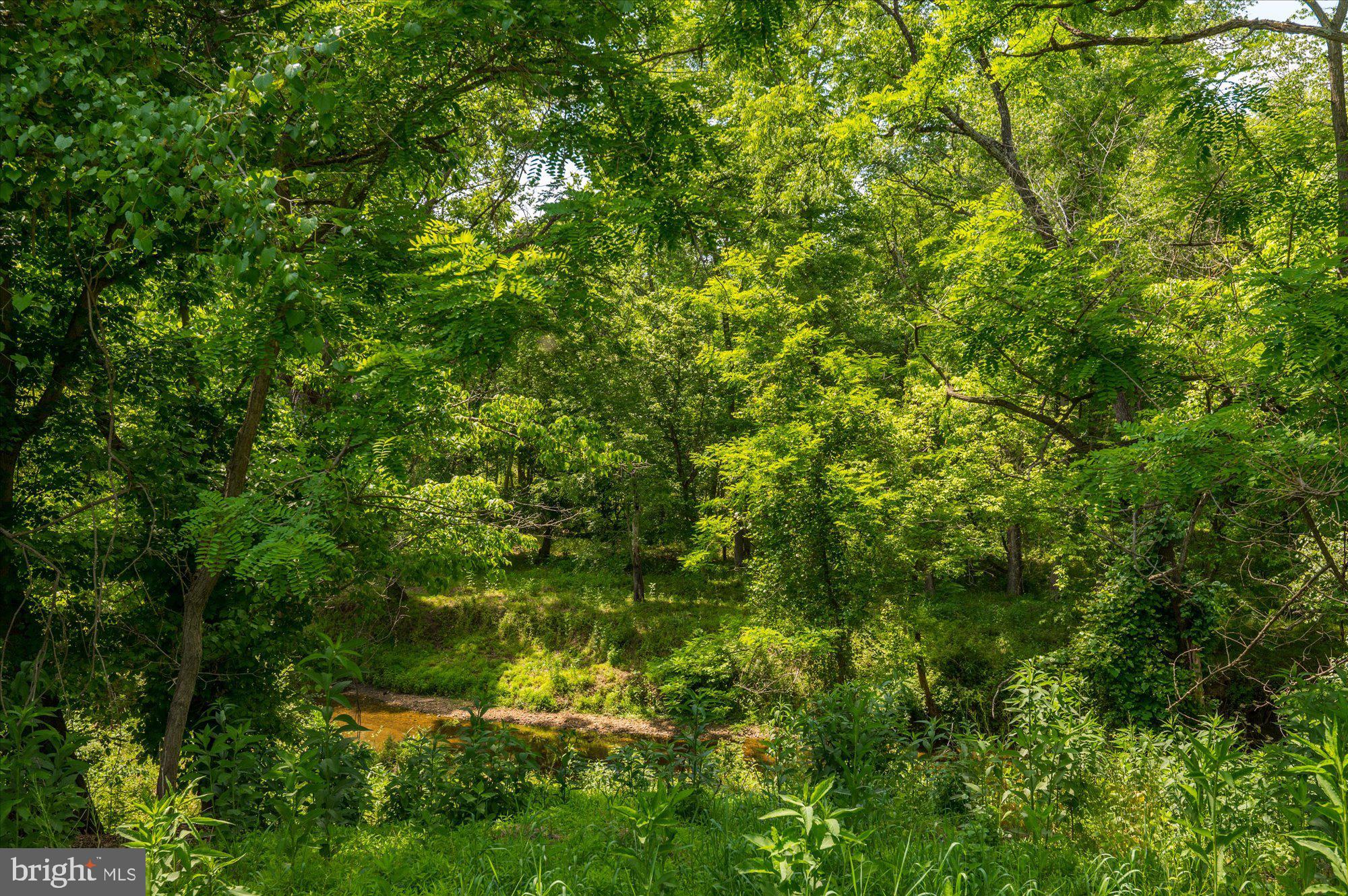 POTOMAC VIEW ESTATES - Residential