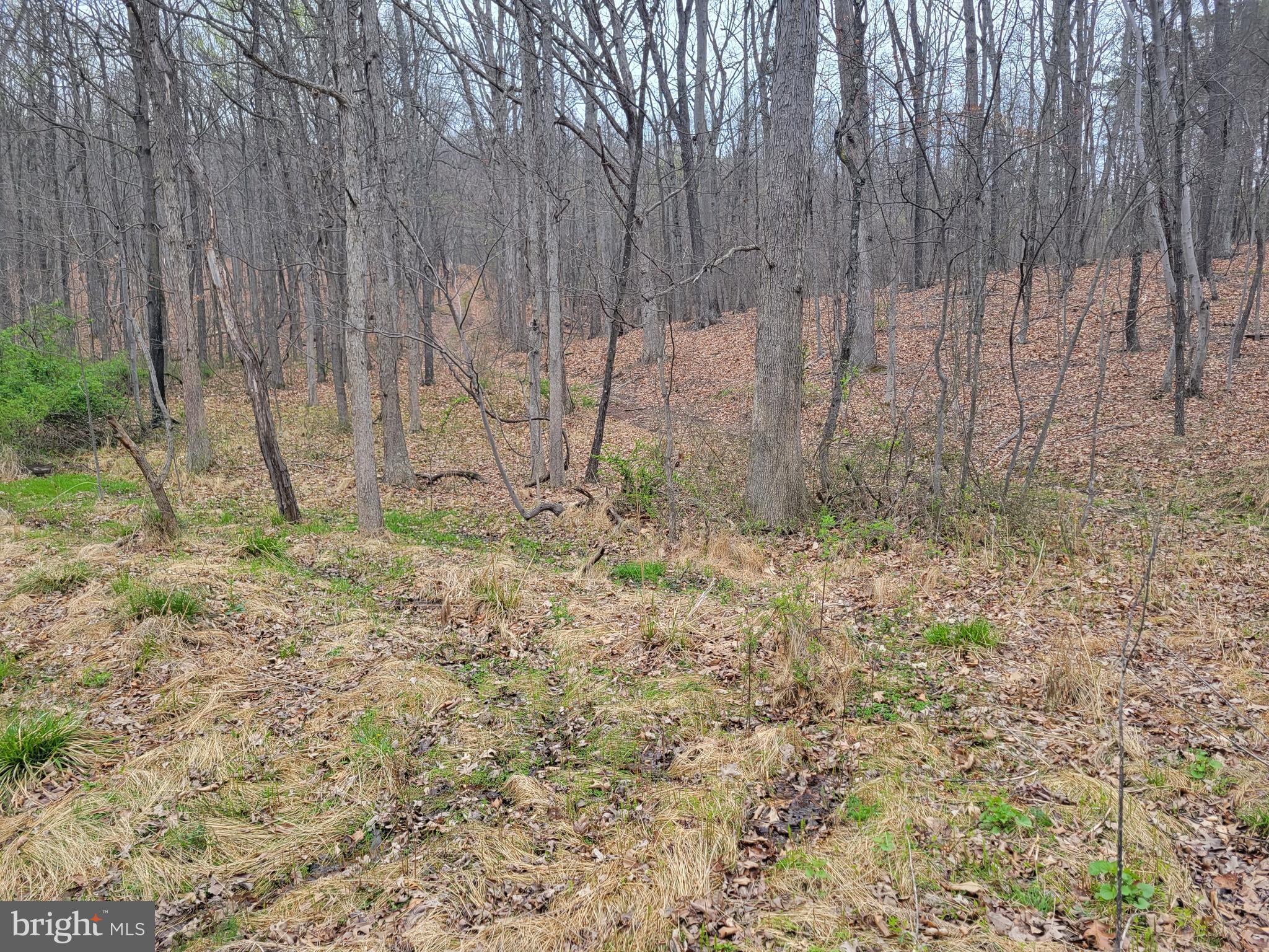 GET AWAY FROM IT ALL - don't miss 3-acre wooded lot to build your full-time residence or your weekend getaway. Easy access on a county-maintained road. Have your small piece of WV just 2.5 hours from Baltimore or Washington, DC. Enjoy the wildlife and the freedoms of WV. Small wet weather stream on property. This property does have very light restrictions and a HOA of 25.00 per year for road maintenance of other parts of the subdivision. Perc approved site and 3-bedroom septic permit has been issued.