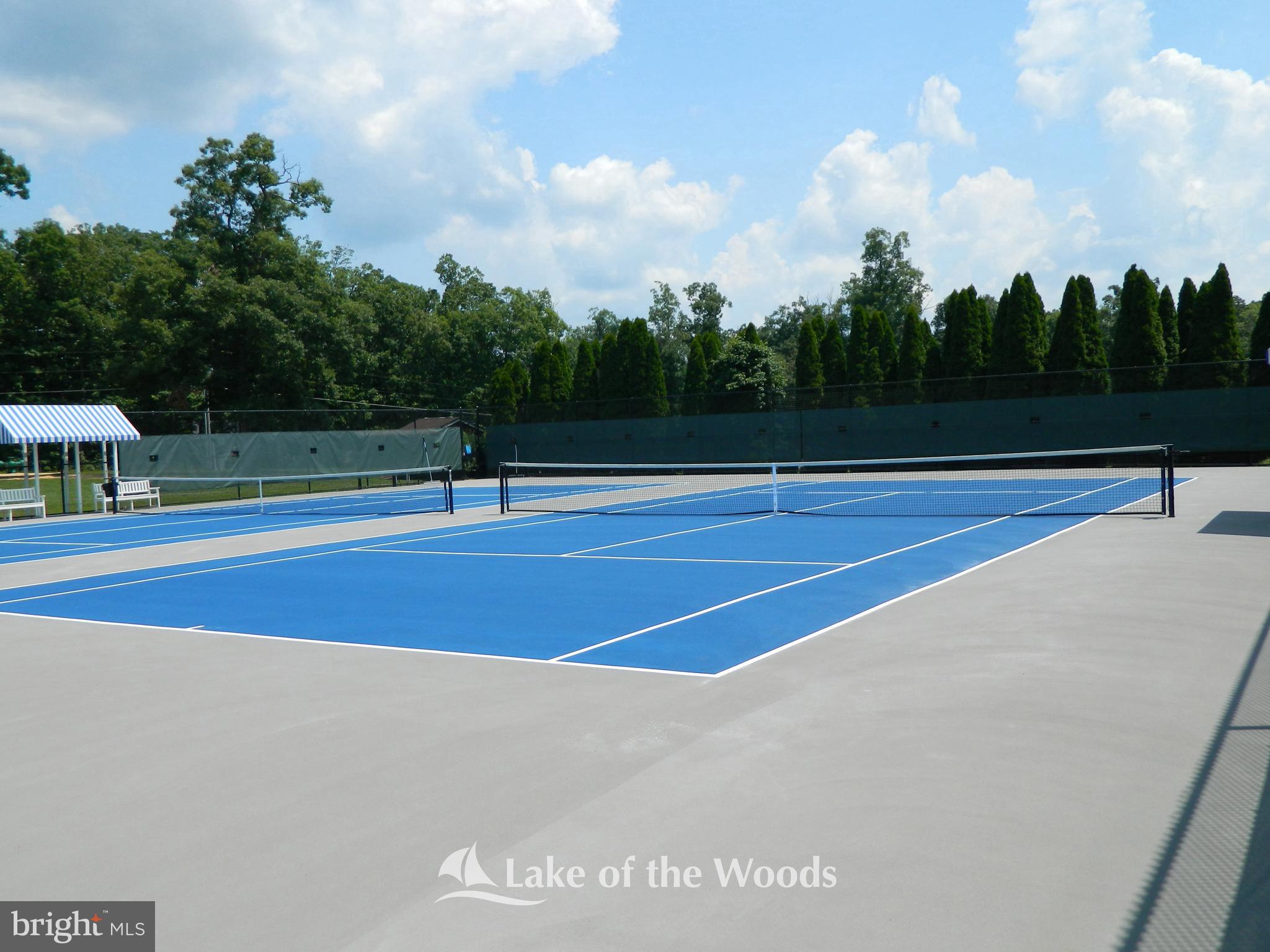 LAKE OF THE WOODS - Residential