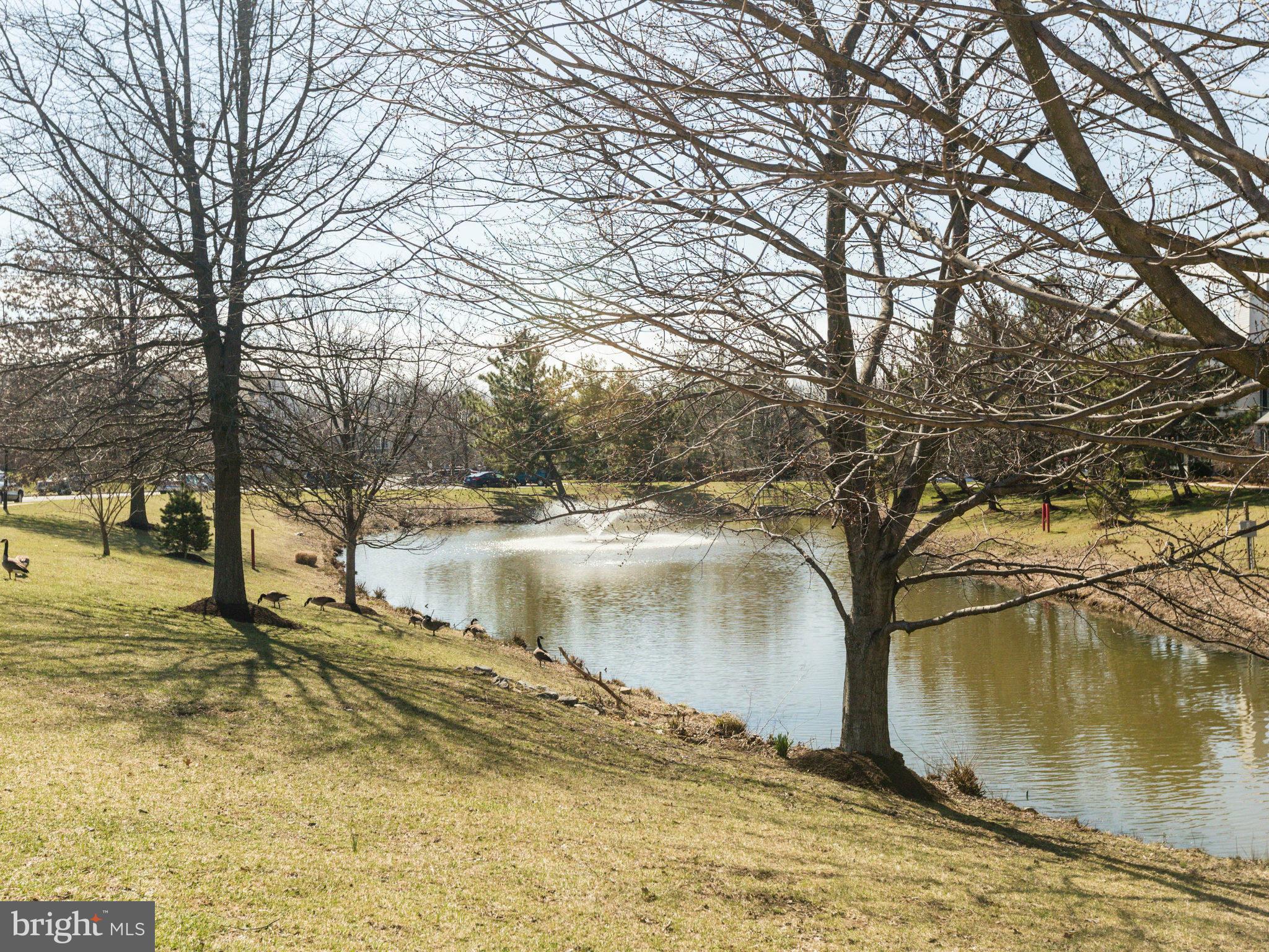 MANCHESTER LAKES - Residential