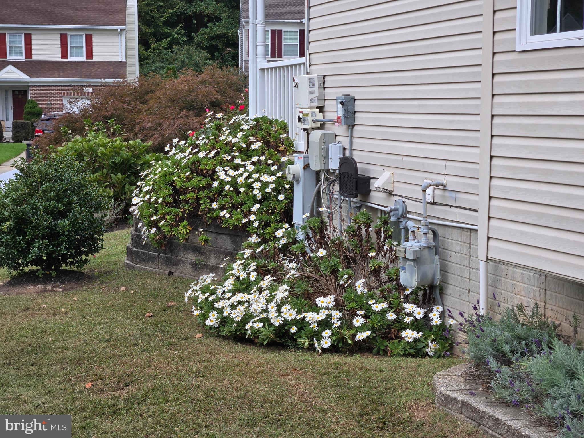 CONSTANT FRIENDSHIP - Residential