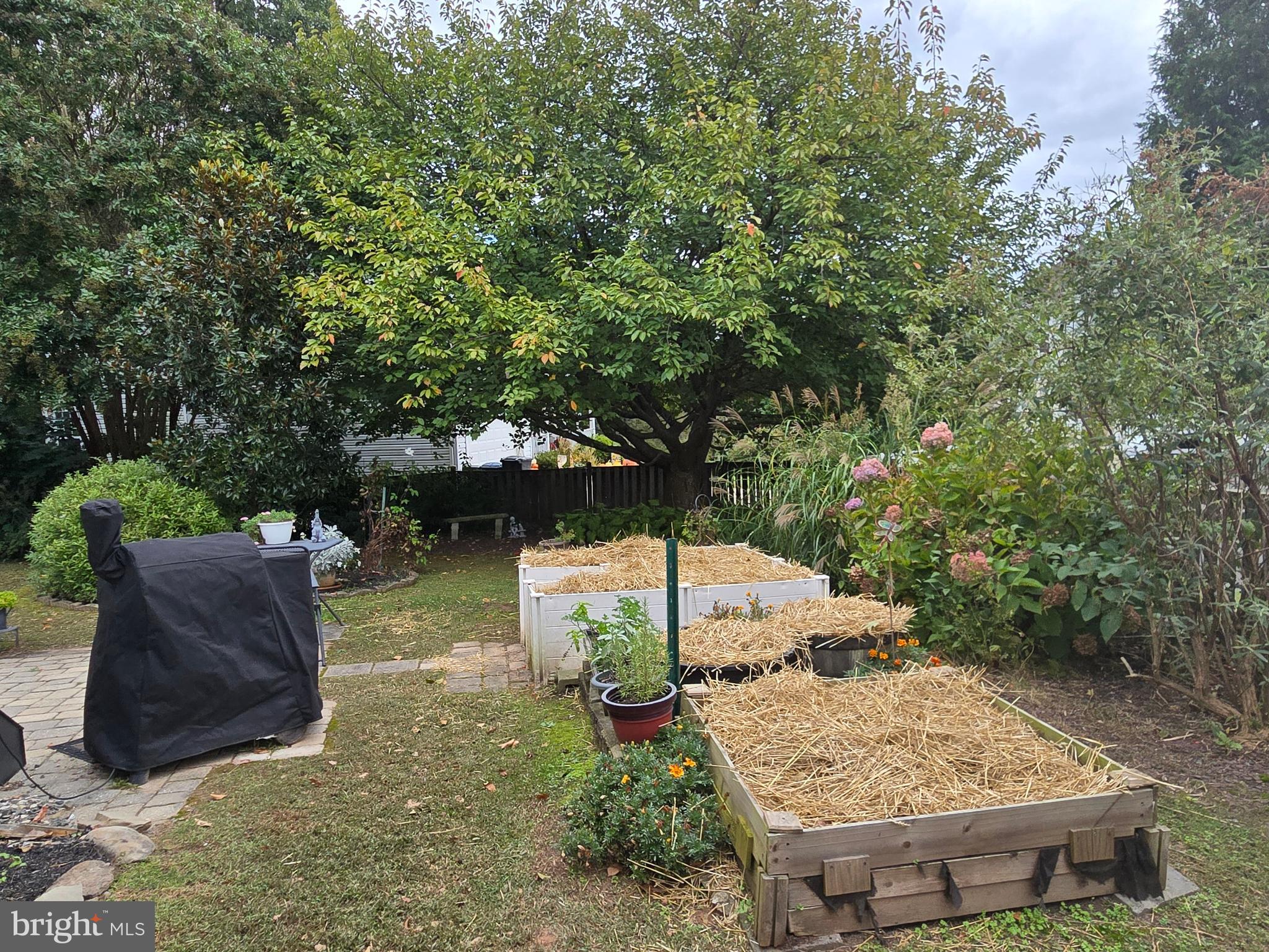 CONSTANT FRIENDSHIP - Residential