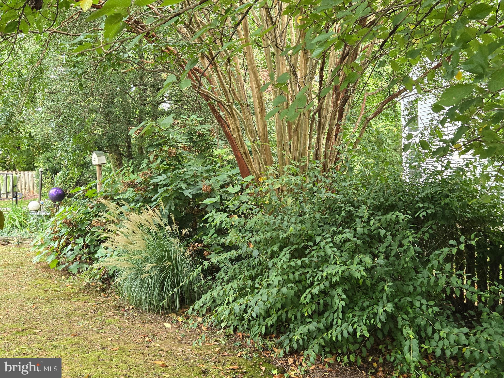 CONSTANT FRIENDSHIP - Residential