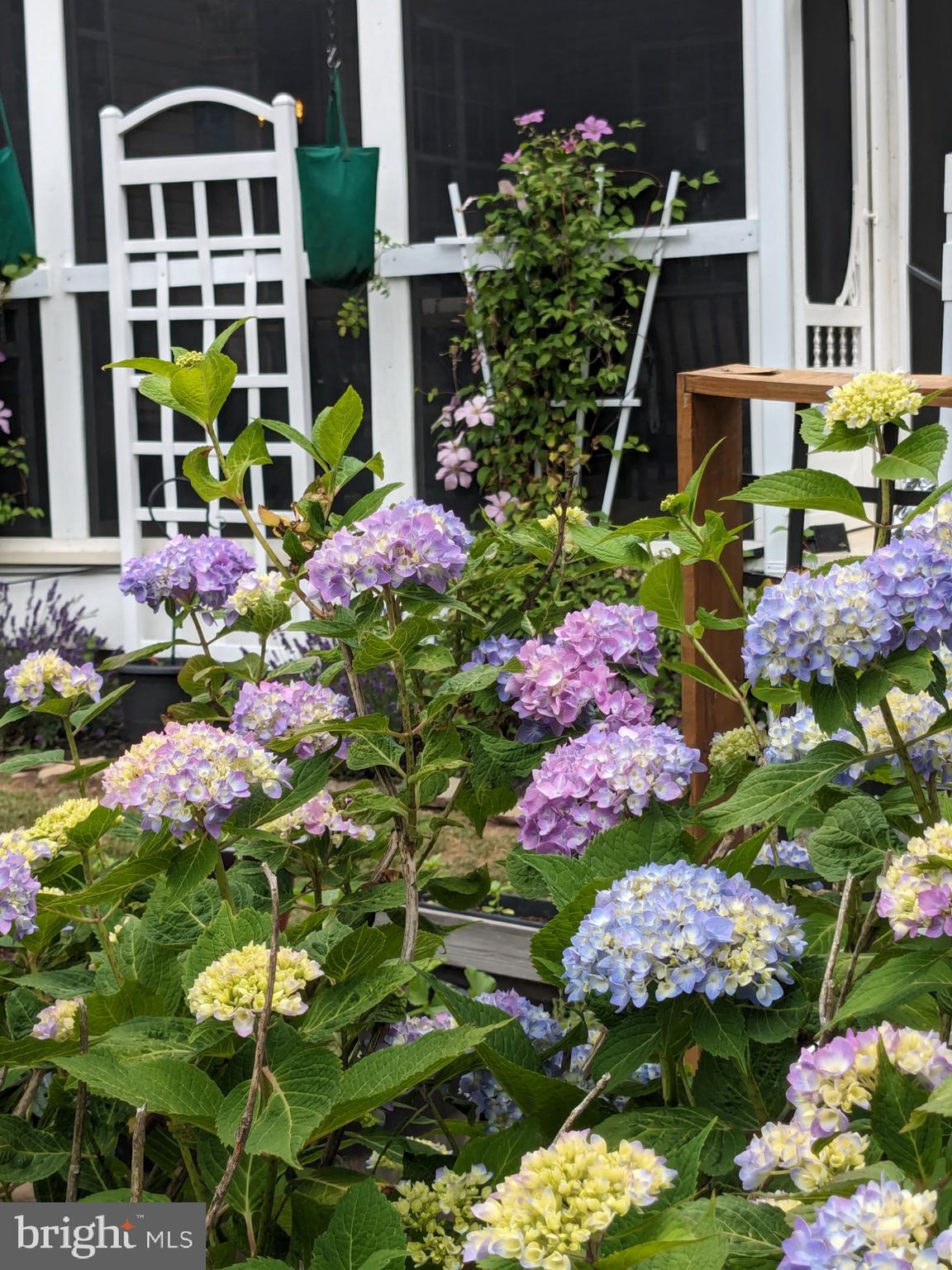 CONSTANT FRIENDSHIP - Residential