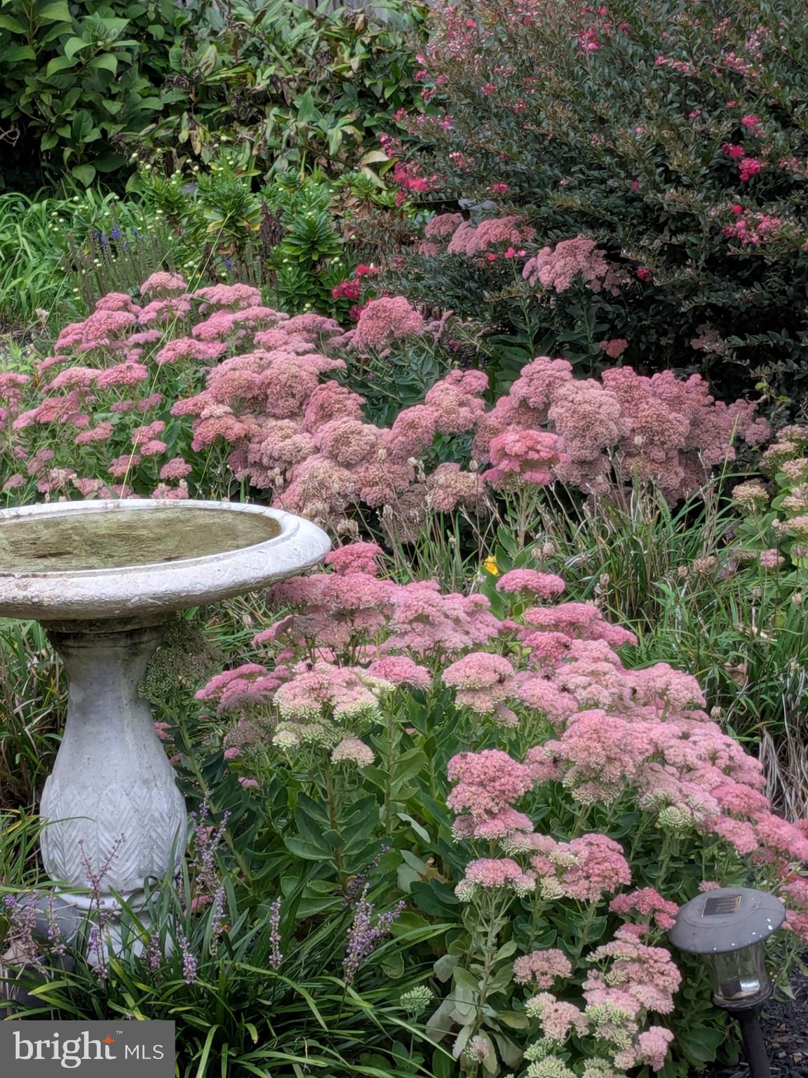 CONSTANT FRIENDSHIP - Residential