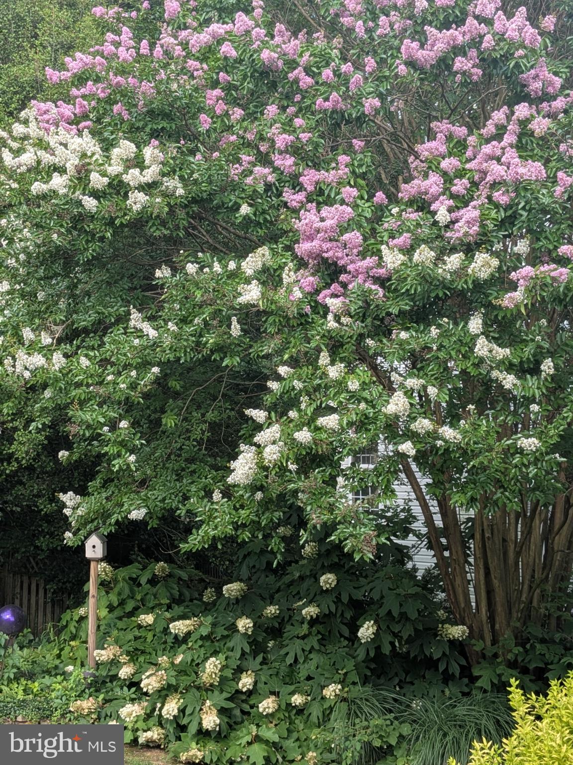 CONSTANT FRIENDSHIP - Residential