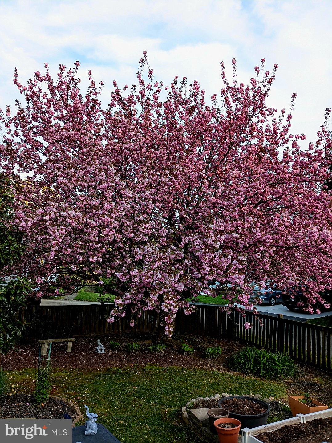 CONSTANT FRIENDSHIP - Residential