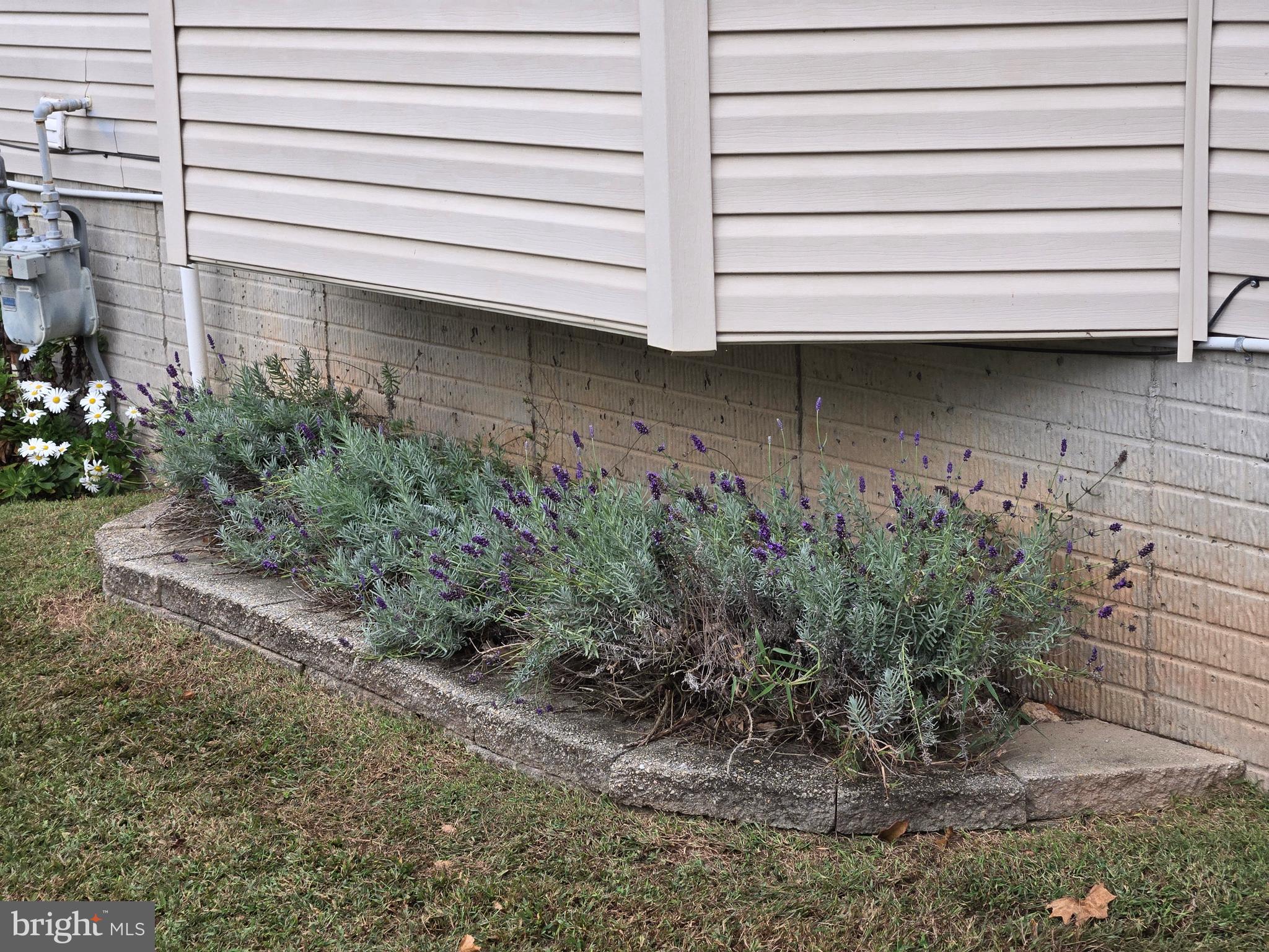 CONSTANT FRIENDSHIP - Residential