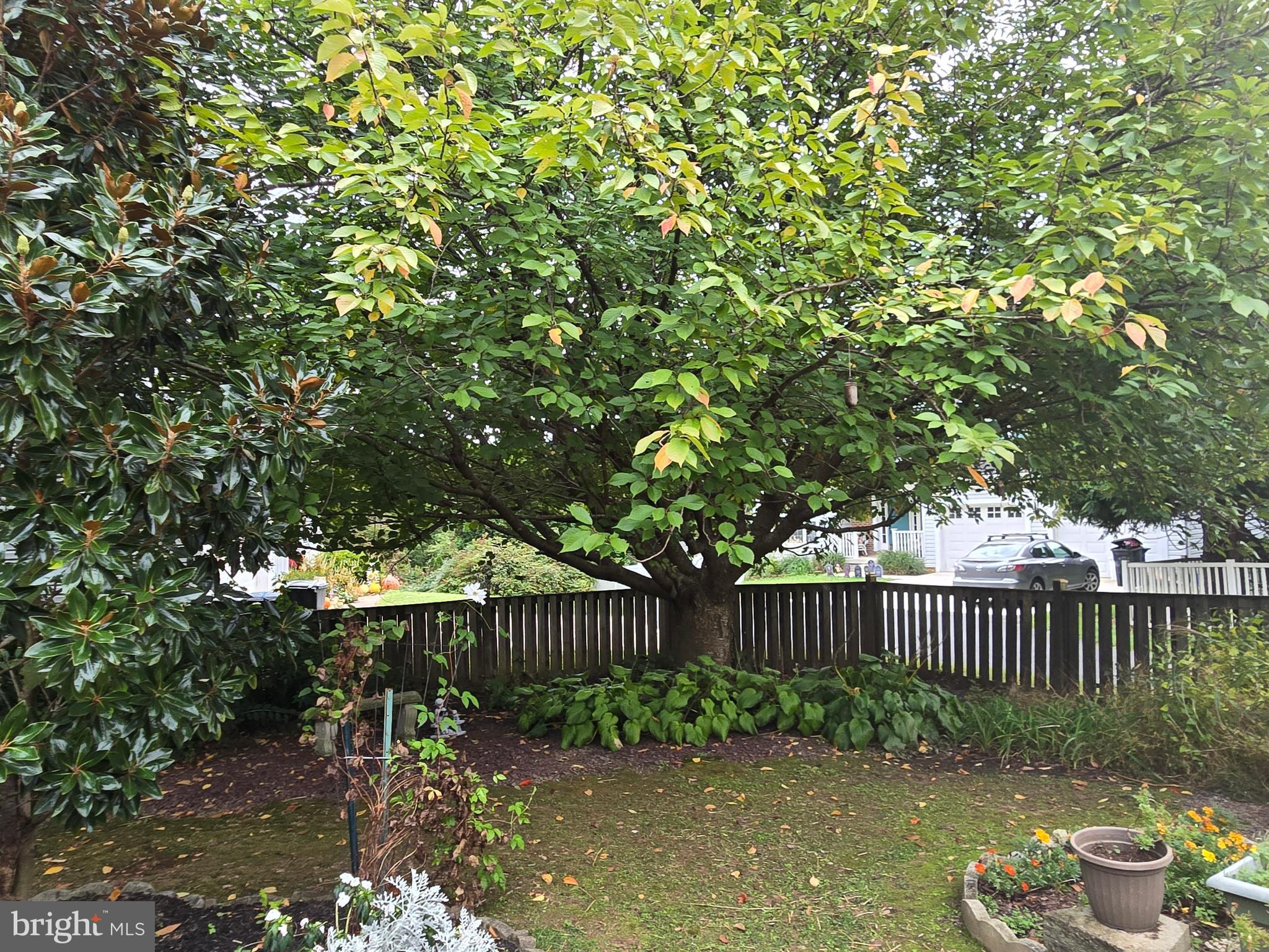 CONSTANT FRIENDSHIP - Residential