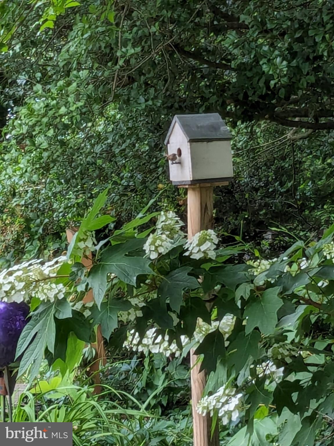 CONSTANT FRIENDSHIP - Residential