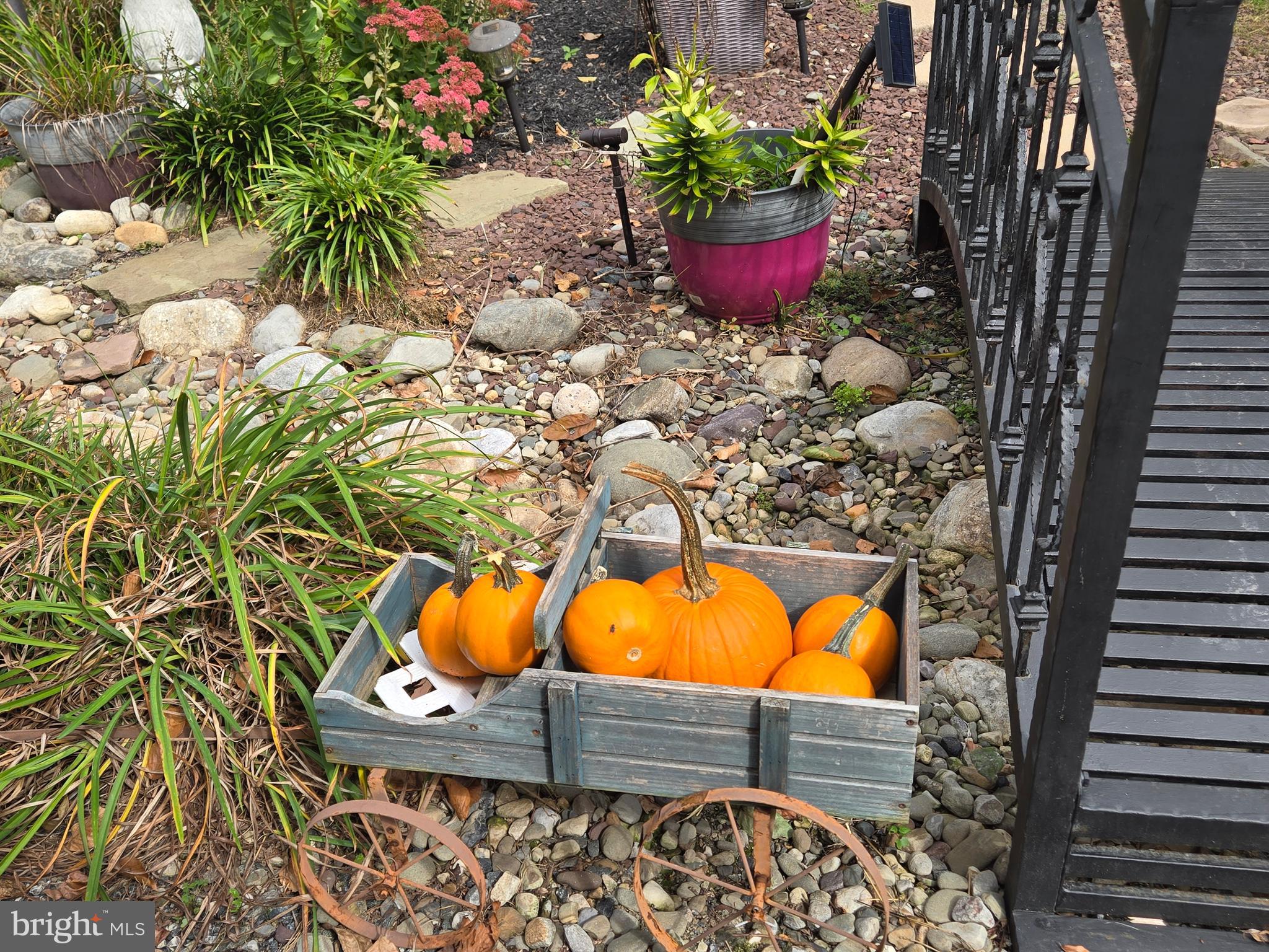 CONSTANT FRIENDSHIP - Residential