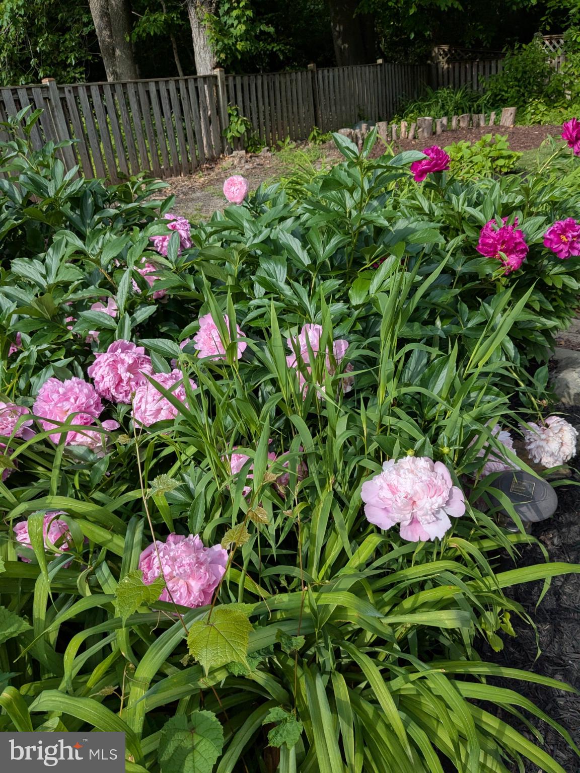 CONSTANT FRIENDSHIP - Residential