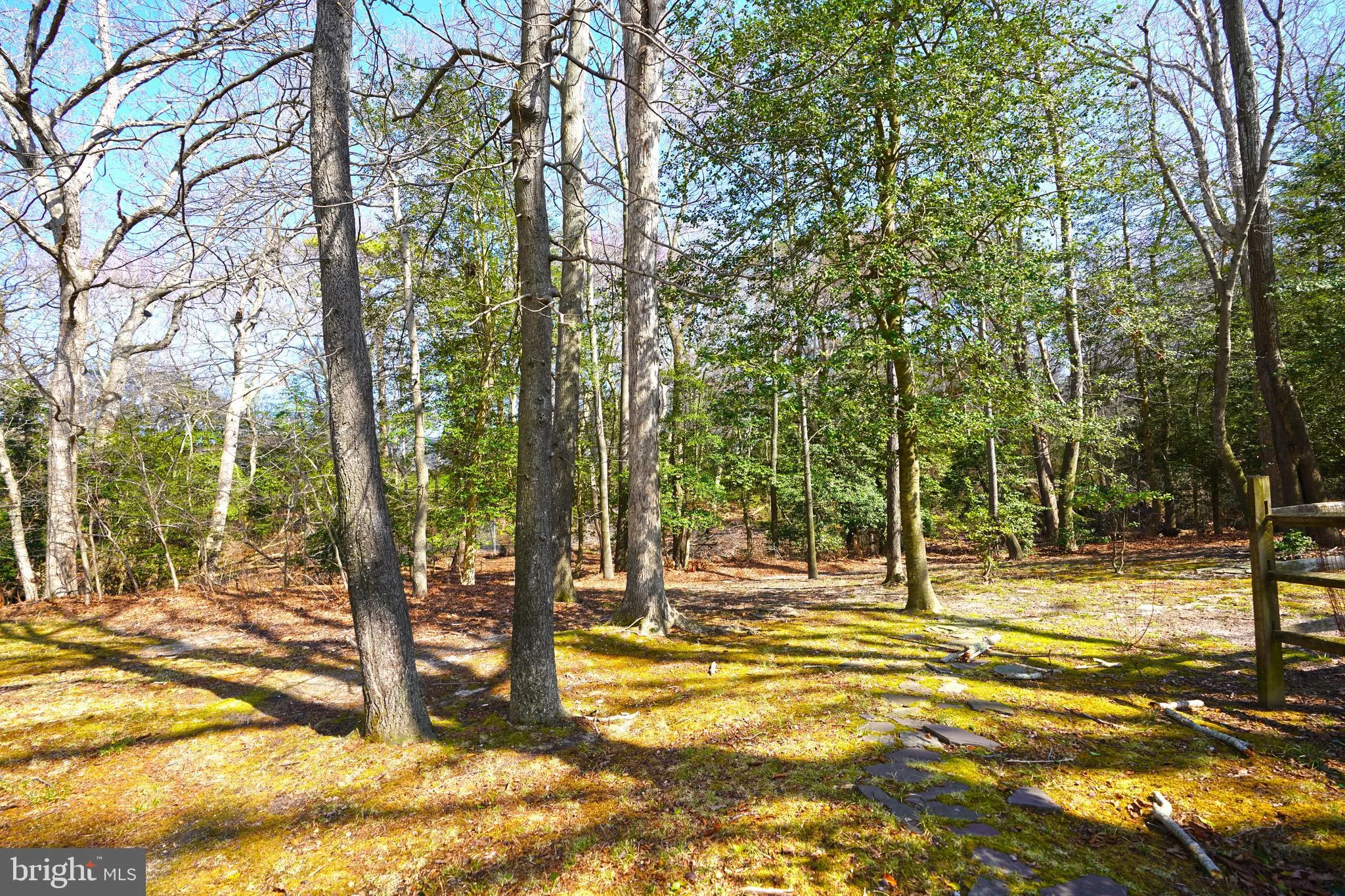 Rehoboth Beach, Delaware 19971, United States, 3 Bedrooms Bedrooms, ,3 BathroomsBathrooms,Residential,Active,98512
