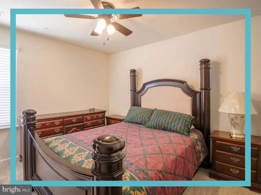 SASSAFRAS MEADOWS - Residential