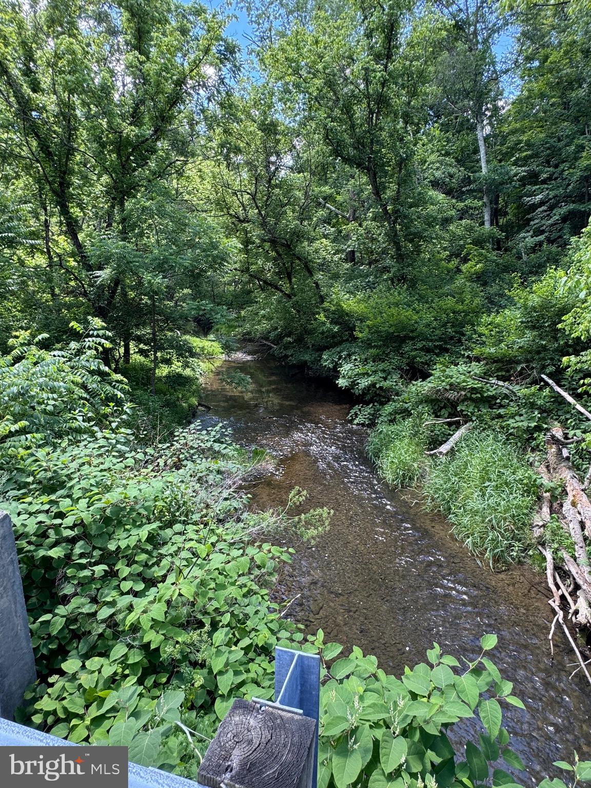 SAND MINE ROAD BY CREEK