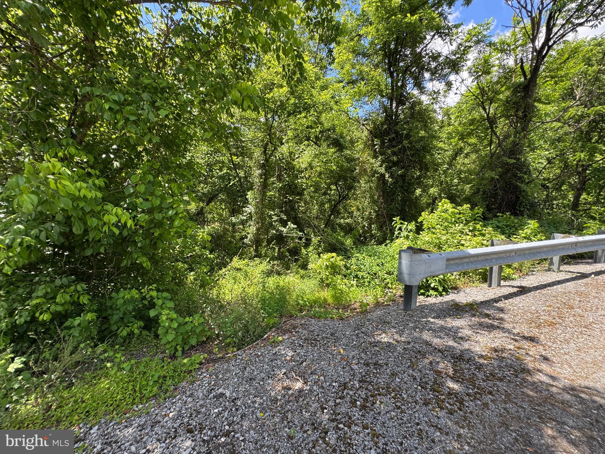 SAND MINE ROAD BY CREEK