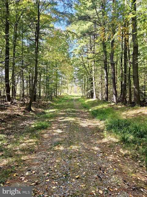 Vacant Land For Sale - 650 Edgewood Dr<br/> Clarion County, LEEPER, PA 16233