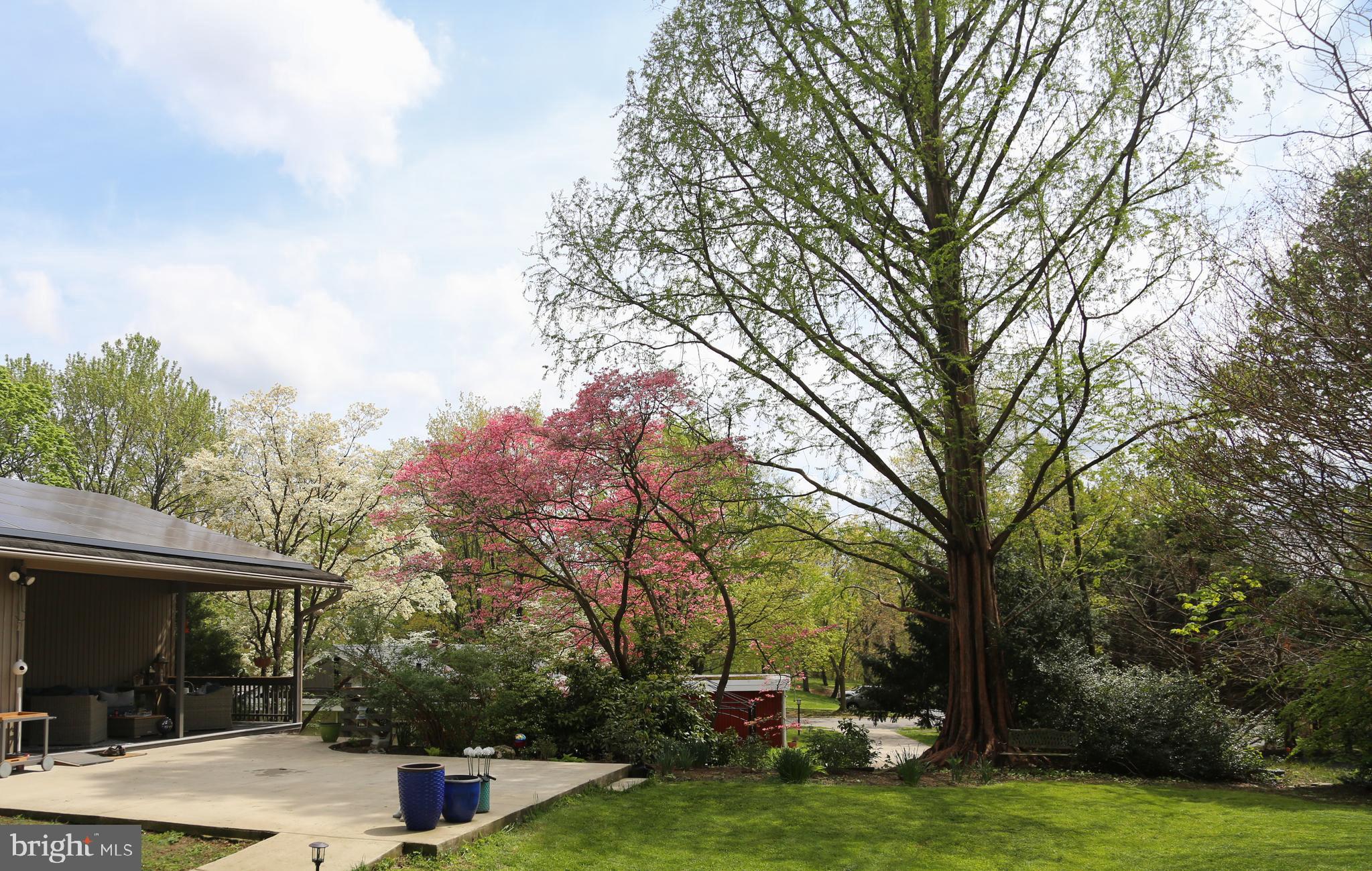 THE BIRCHES - Residential