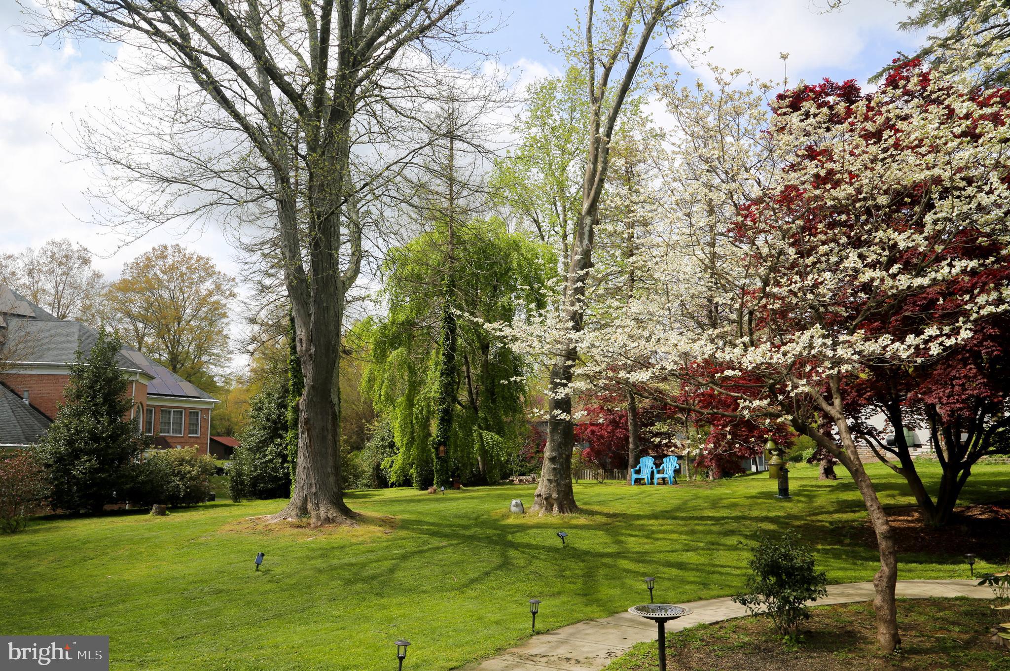 THE BIRCHES - Residential