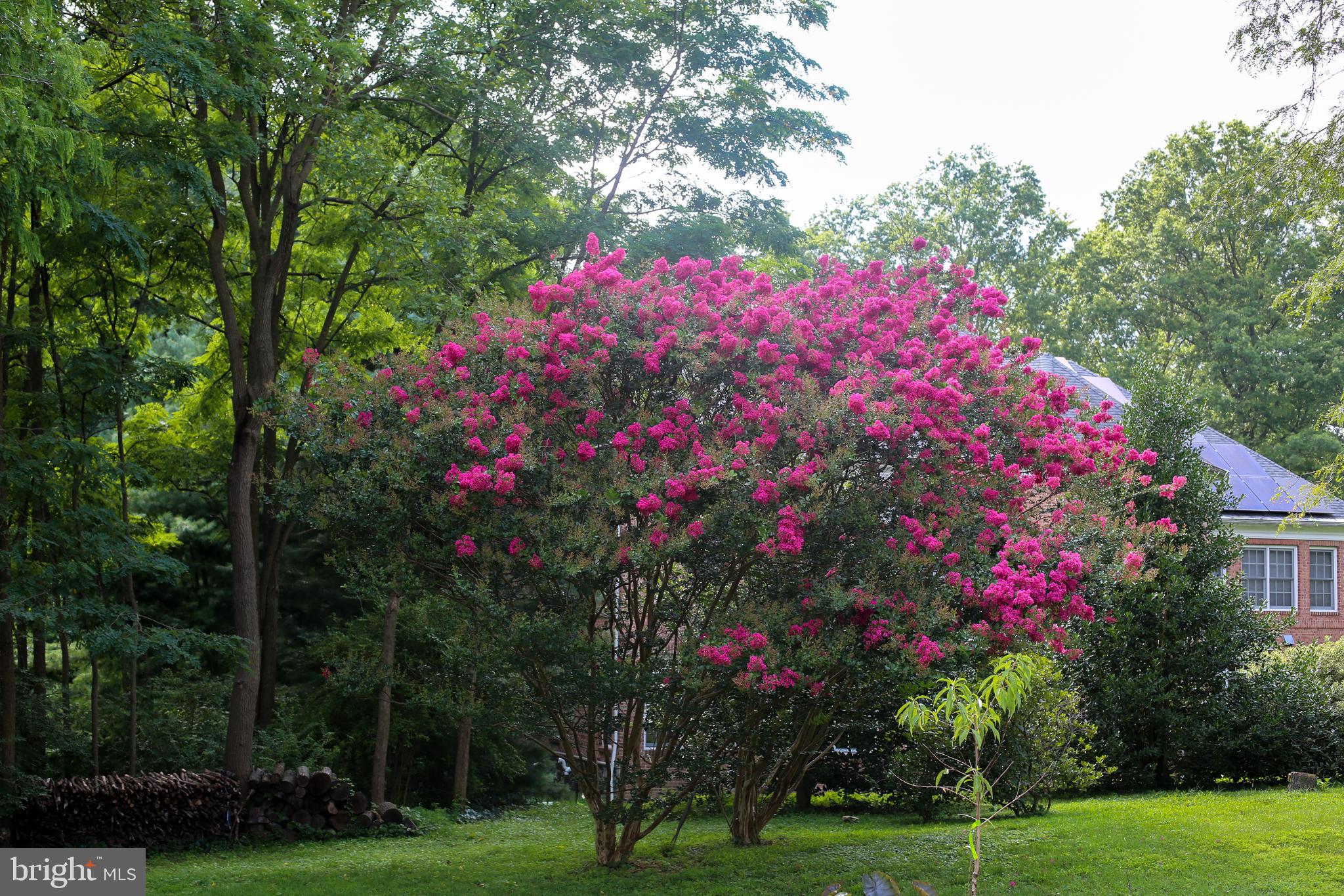 THE BIRCHES - Residential