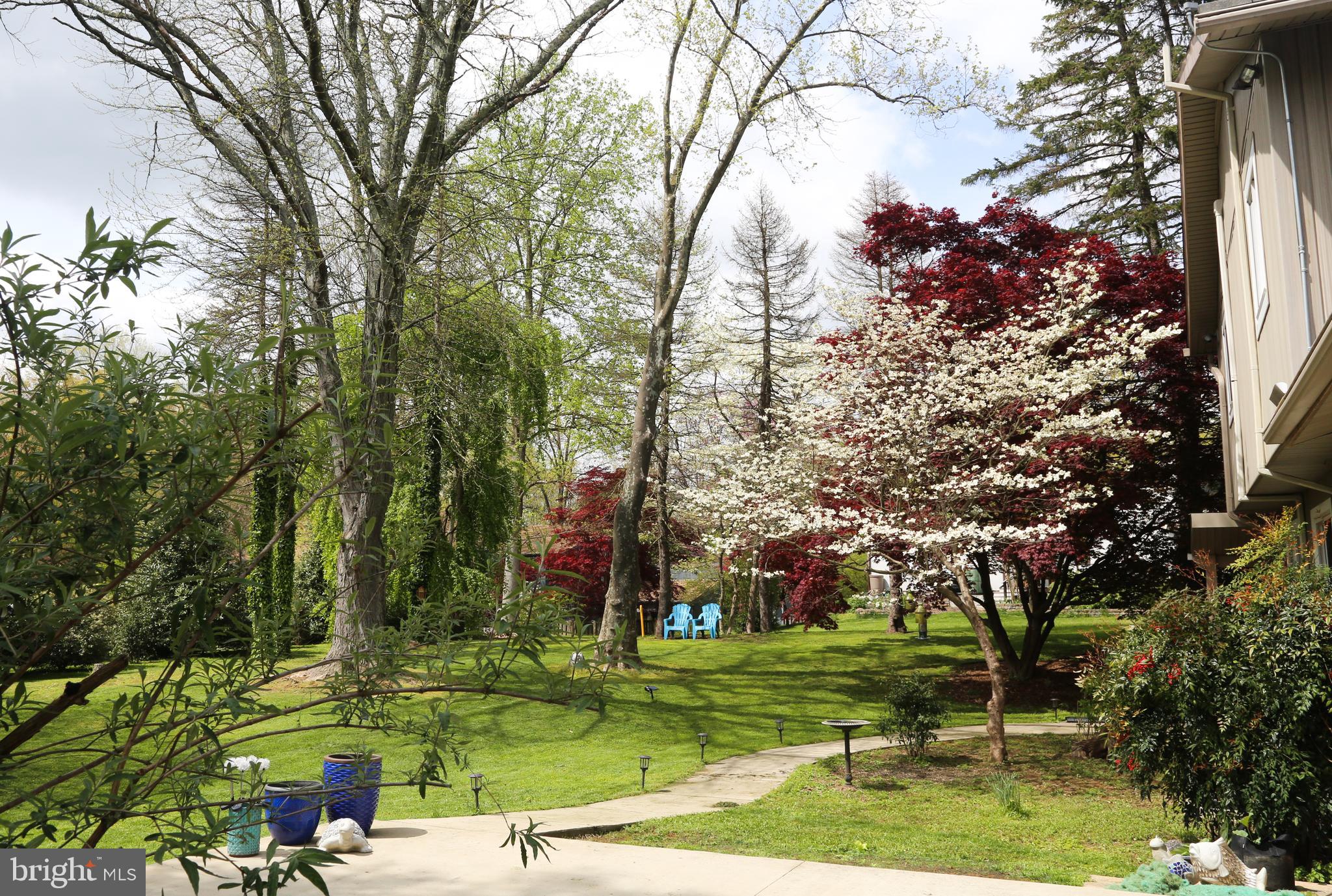 THE BIRCHES - Residential