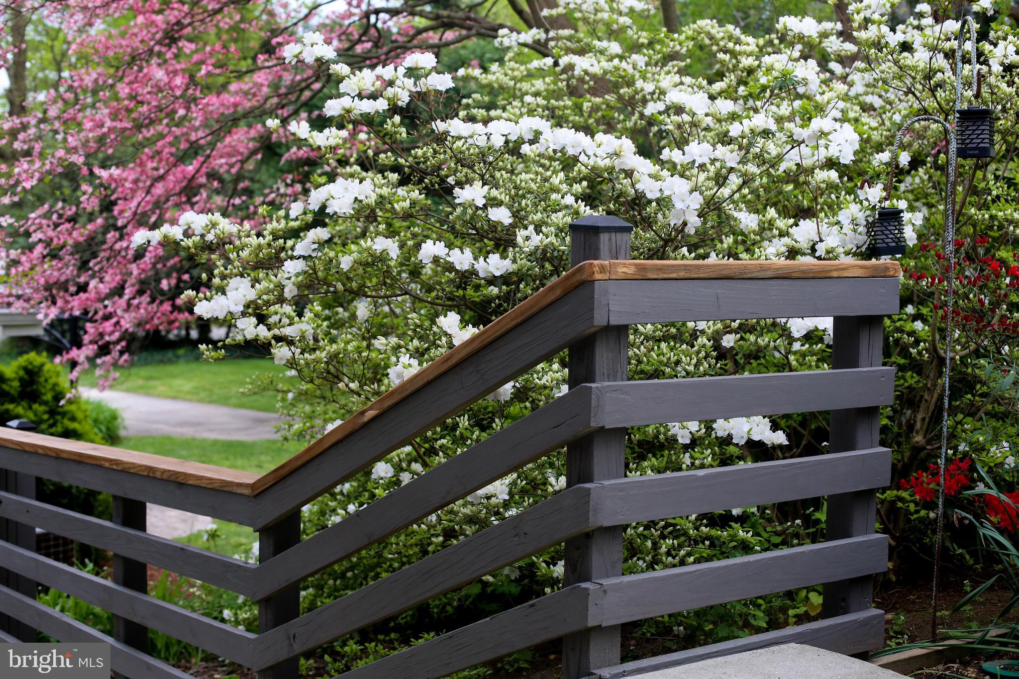 THE BIRCHES - Residential