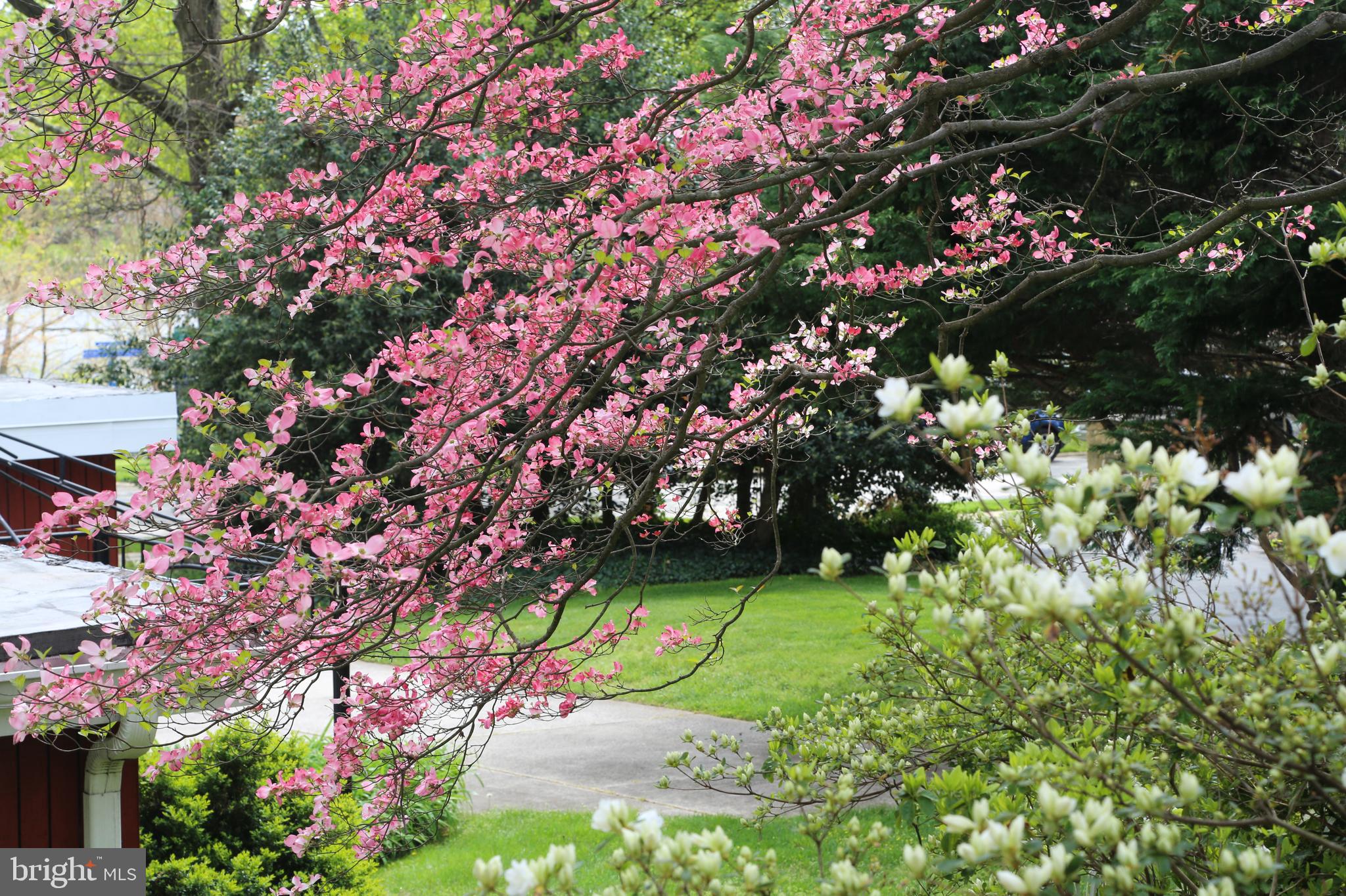 THE BIRCHES - Residential