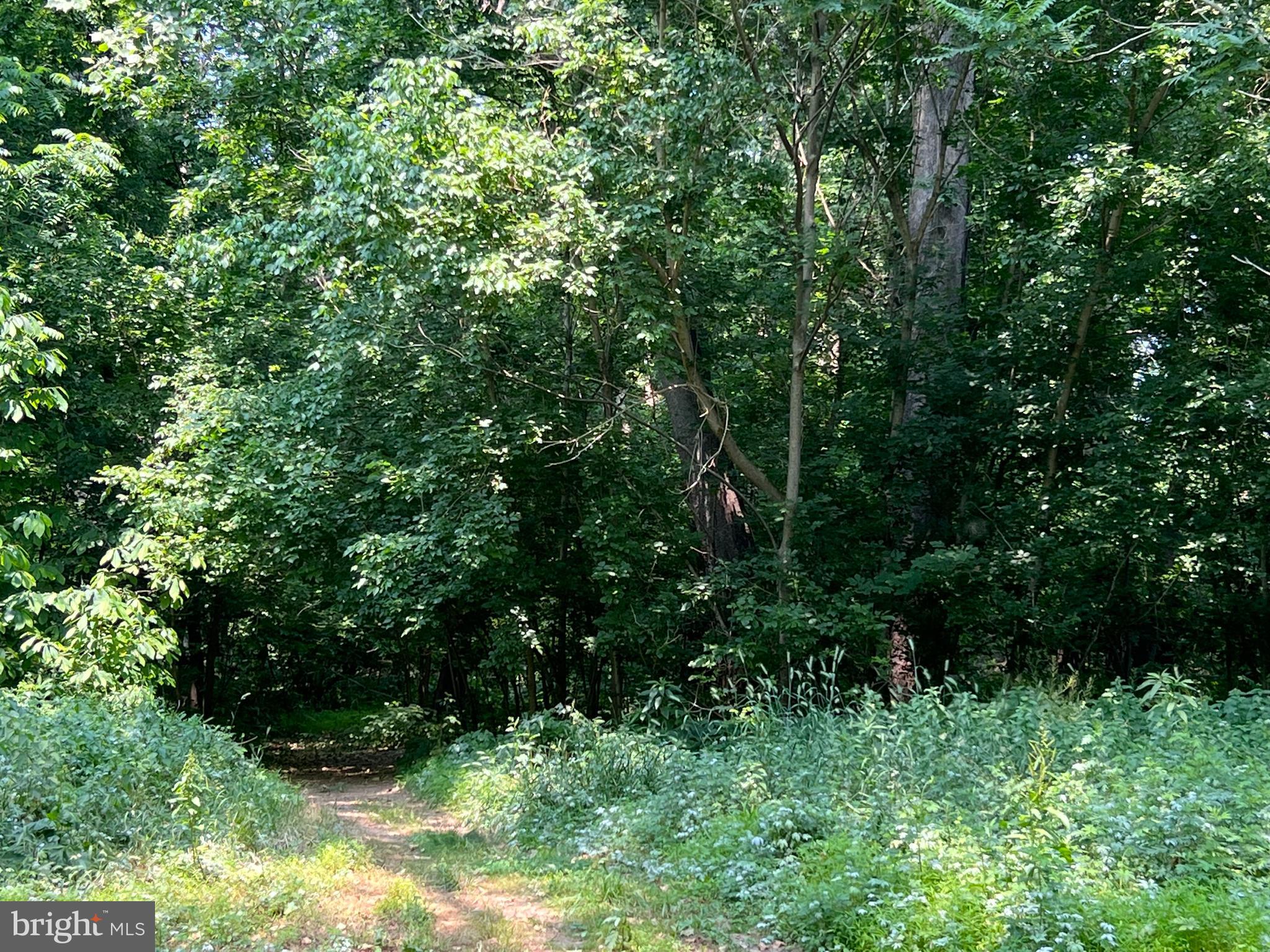 RIVERSIDE ACRES - Residential