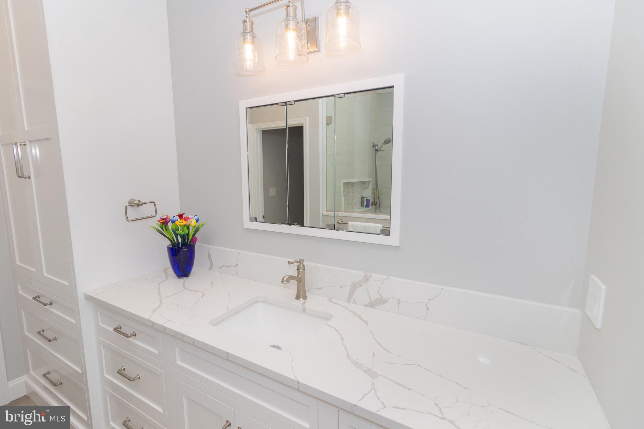 SAUCON VALLEY MEADOW - Residential