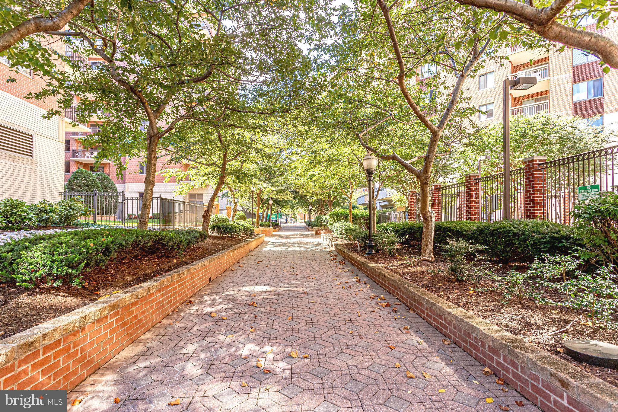 VIRGINIA SQUARE - Residential