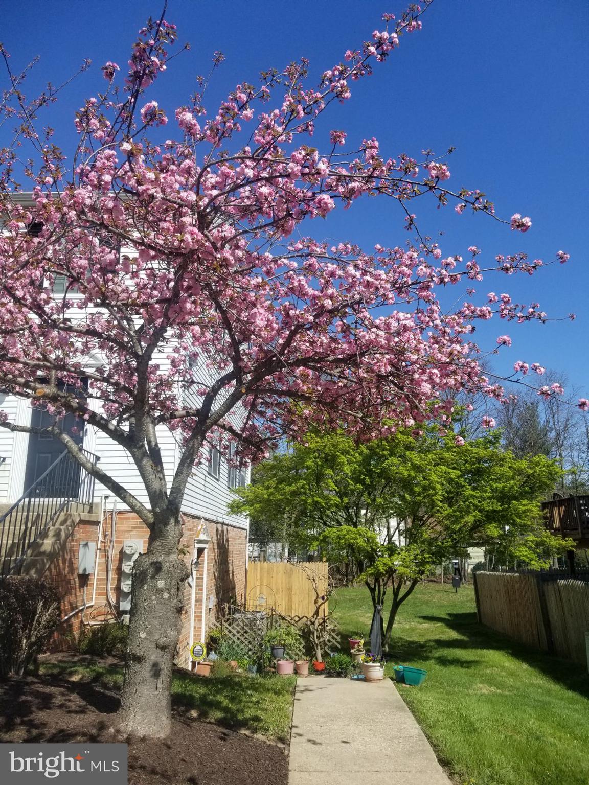 CHERRYWOOD CONDO - Residential