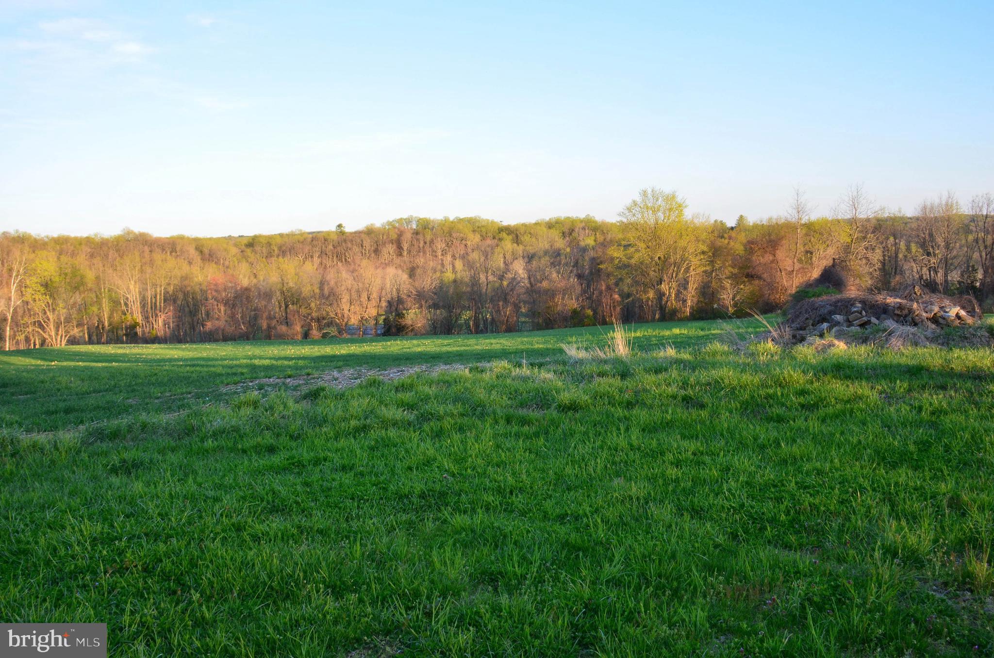 FAIRVIEW FARM - Farm