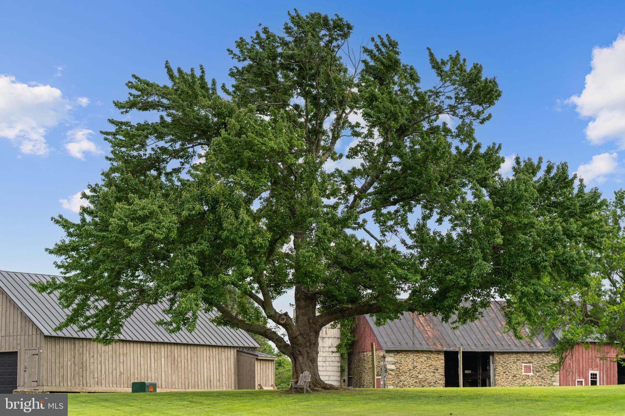 WRIGHT FARM - Residential
