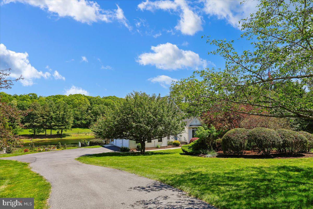 CATTAIL POND - Residential