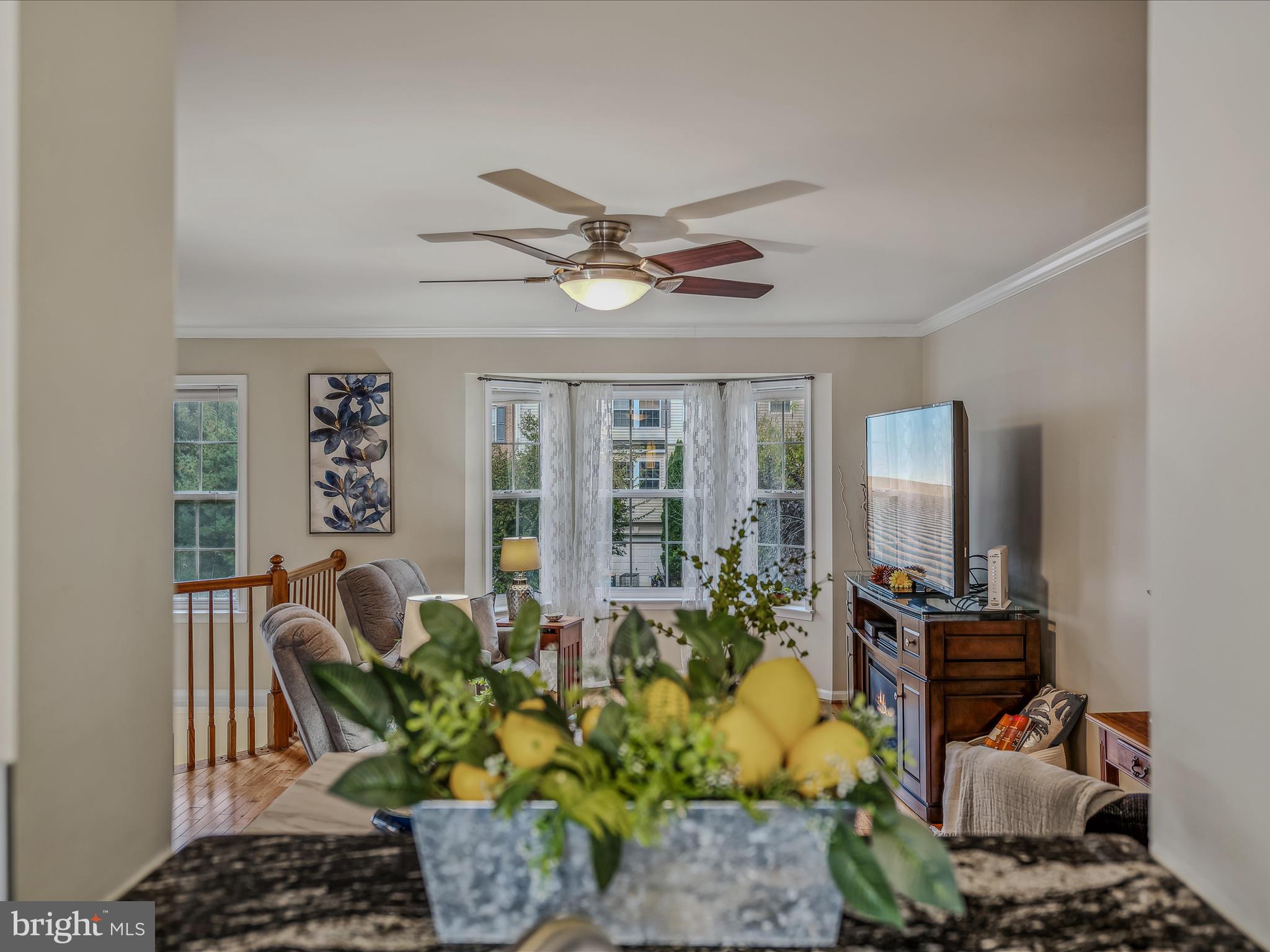 GALLERY - Residential