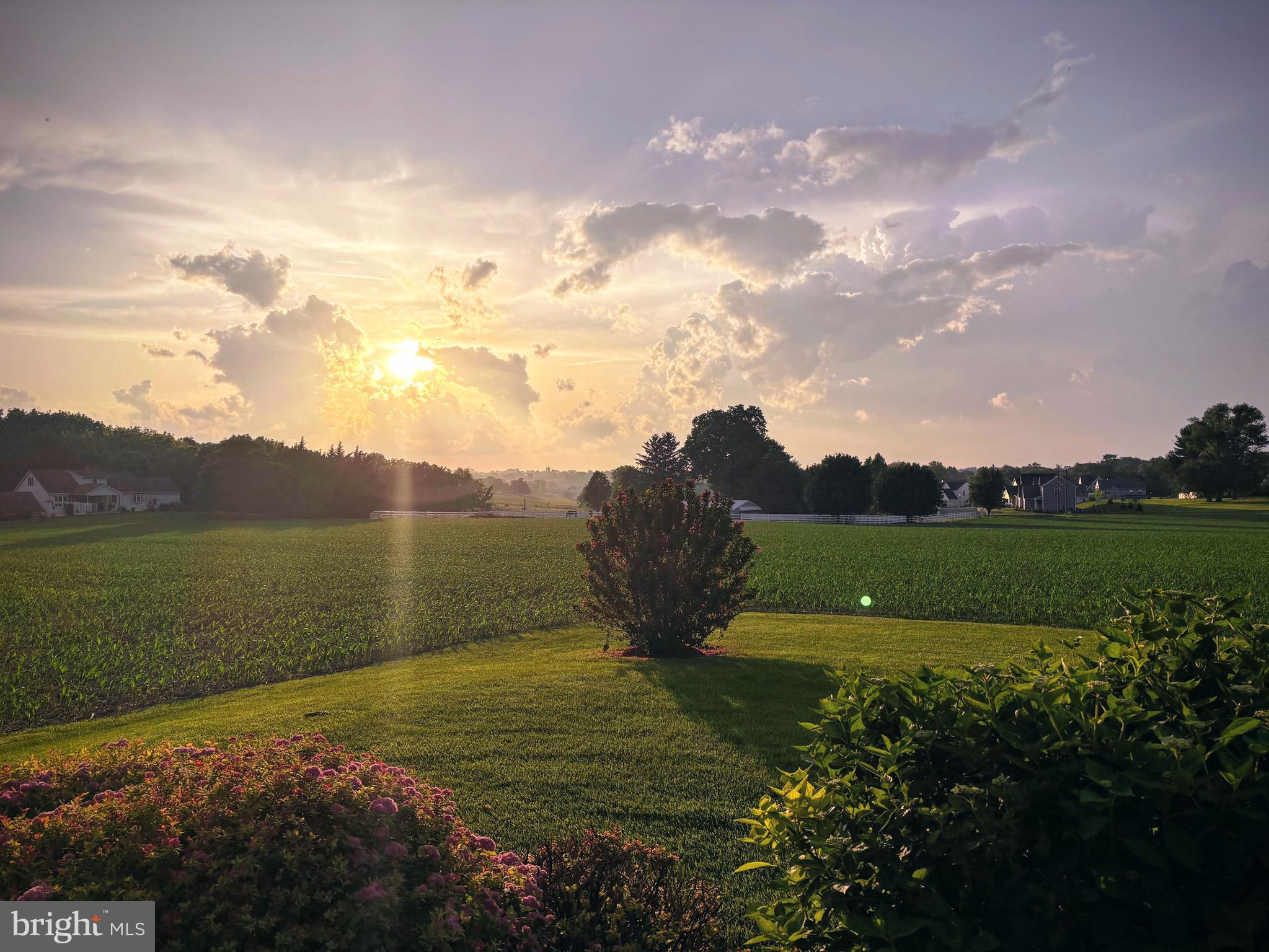 TRAILS AT STRASBURG - Residential