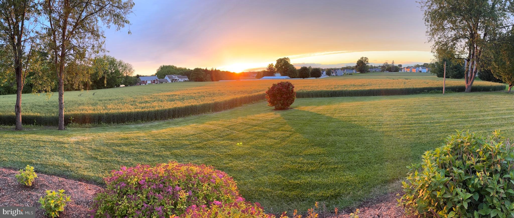 TRAILS AT STRASBURG - Residential