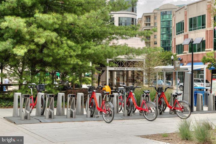 COURTHOUSE HILL - Residential Lease