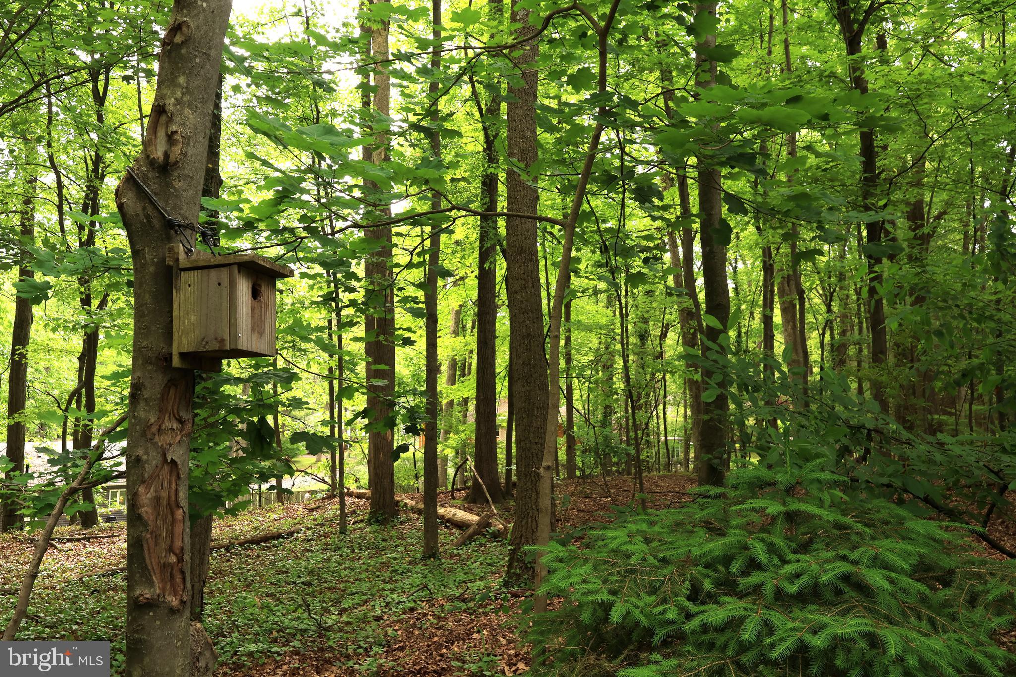 PARK FOREST VILLAGE - Residential