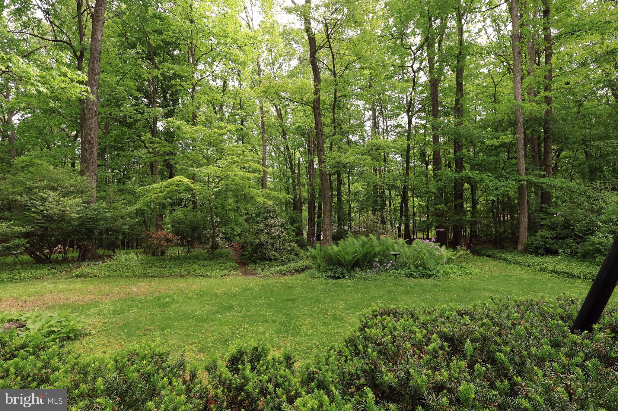 PARK FOREST VILLAGE - Residential
