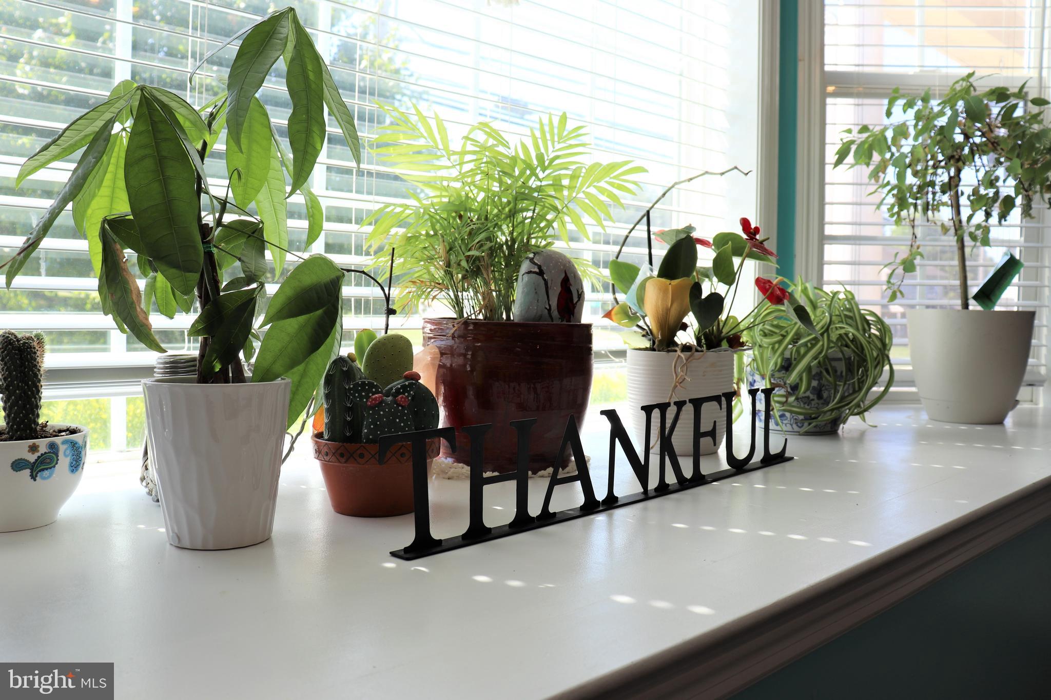 AUTUMN HILLS - Residential