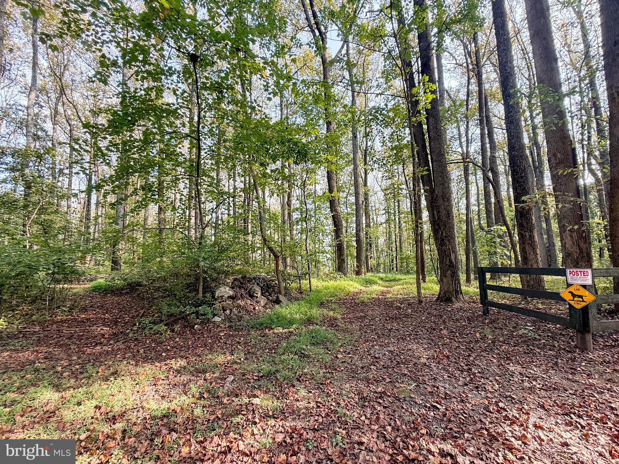 MOUNT PLEASANT EST - Residential