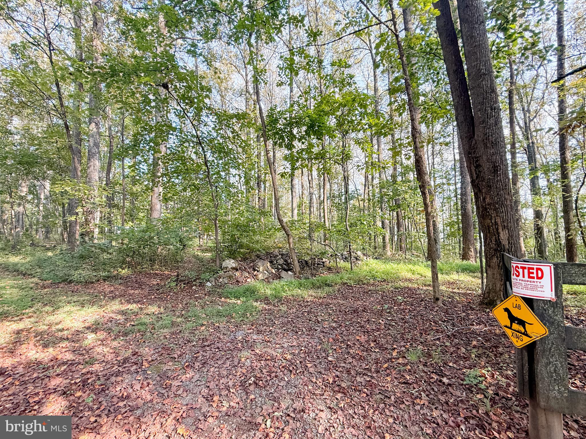 MOUNT PLEASANT EST - Residential